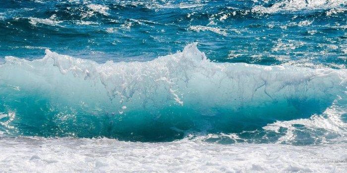 Peringatan Dini BMKG Gelombang Tinggi 25 Agustus 2022: Laut Jawa Capai 4 Meter – Halaman all